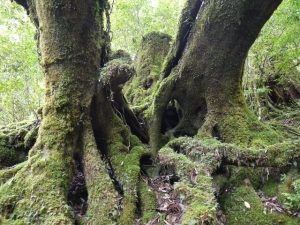 【パワースポット】全部知りたいご利益の属性まとめ♡